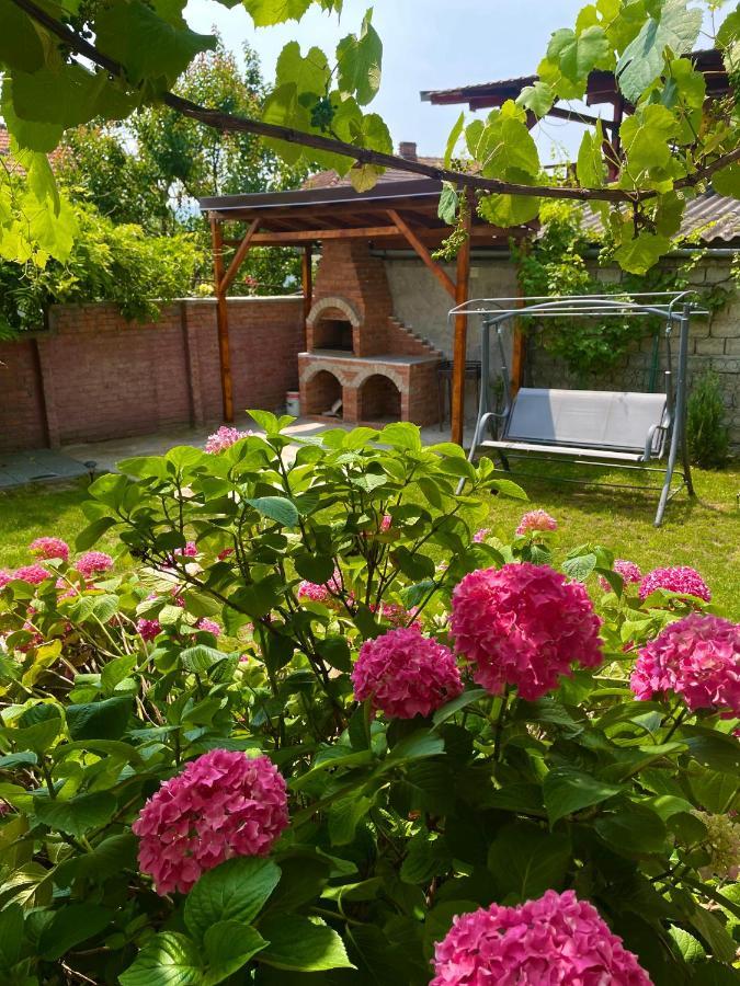 Holiday Home Esku Orşova Exteriér fotografie